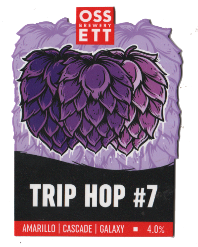 Trip Hop #7