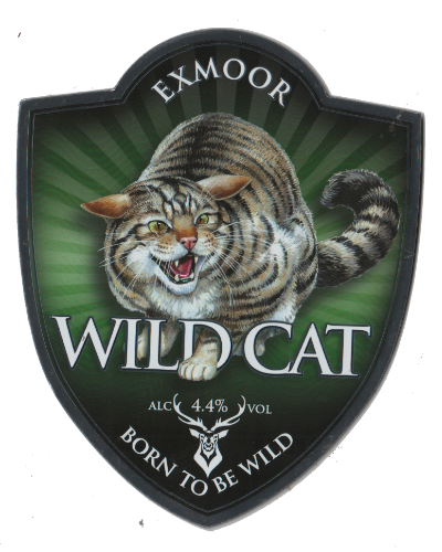 Wild Cat